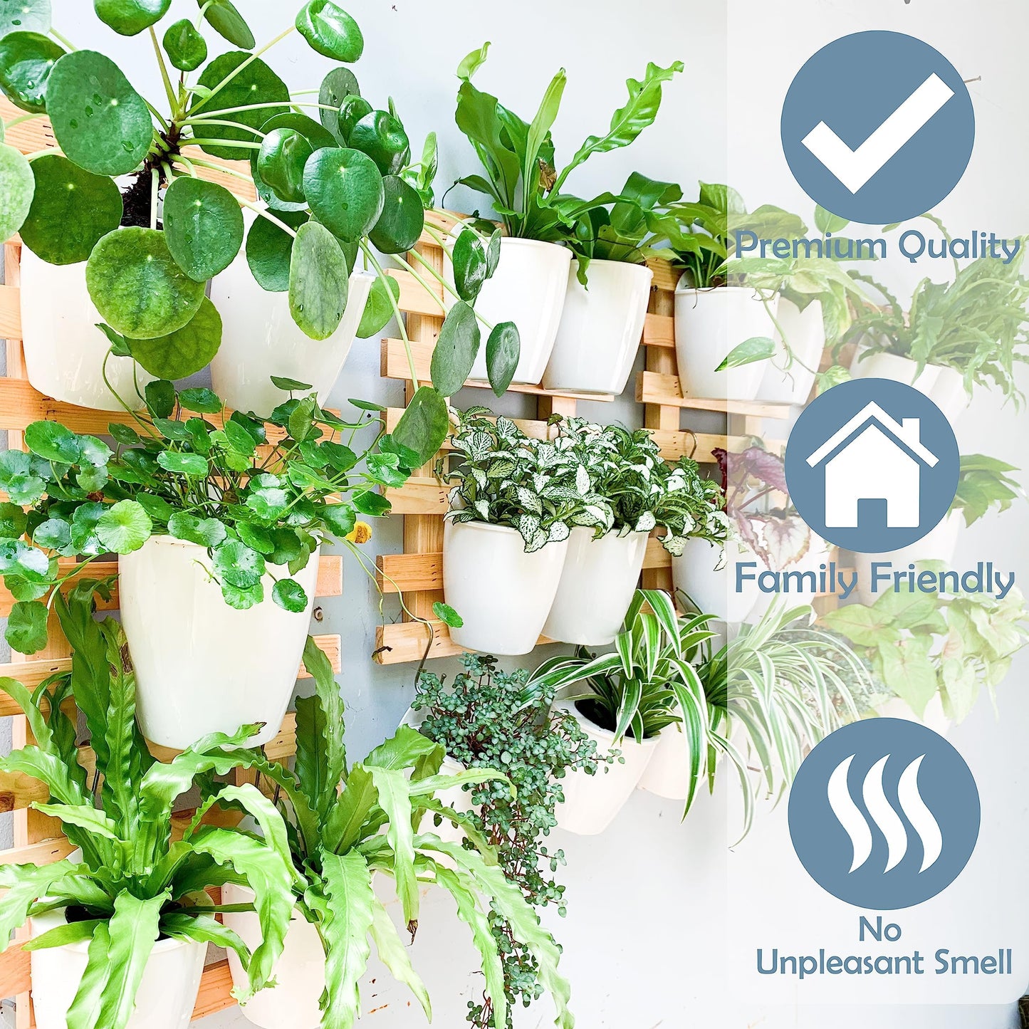 ShopLaLa Bundle - 2 Pack Wooden Wall Planter + 10 Pack, 4 Inch Self Watering Plastic Planters White Plant Holder, Modern Hydroponic Wall Pot Vertical System for Living Plant, Garden