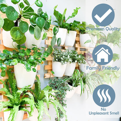 ShopLaLa Bundle - 2 Pack Wooden Wall Planter + 10 Pack, 4 Inch Self Watering Plastic Planters White Plant Holder, Modern Hydroponic Wall Pot Vertical System for Living Plant, Garden