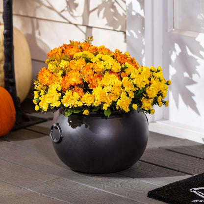 Evergreen Garden Cauldron Witch Pot Candy Holder Bowl Bucket for Trick-or-Treat, Flower Plant Pot, Indoor/Outdoor Halloween Witches Decoration for Party Home Office Desk (Witch Cauldron)