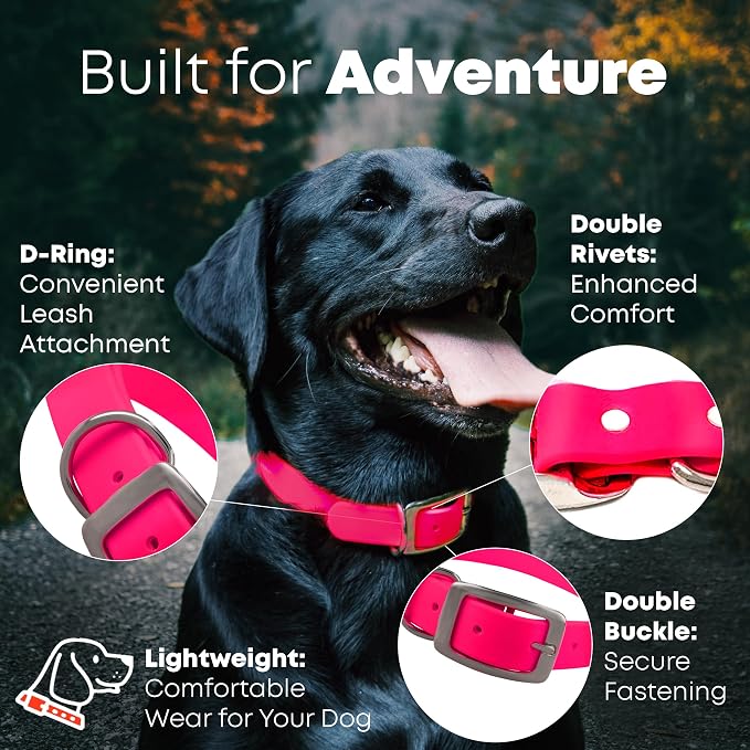 Regal Dog Products Medium Pink Dog Collar with Heavy Duty Double Buckle & D Ring | Vinyl Coated, Custom Fit, Adjustable Biothane Dog Collar | Chew Resistant Waterproof Collar for Dogs