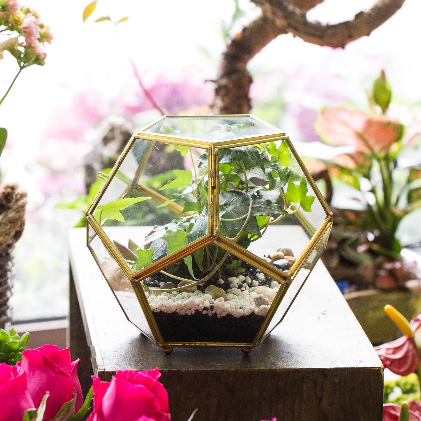 NCYP Glass Geometric Terrarium Planter with Door and Foot, Pentagon Ball Shape Glass Terrarium for Fern, Succulents, Small Plants, Gold, 6.8 x 6.8 x 5.9 inches (No Plants)
