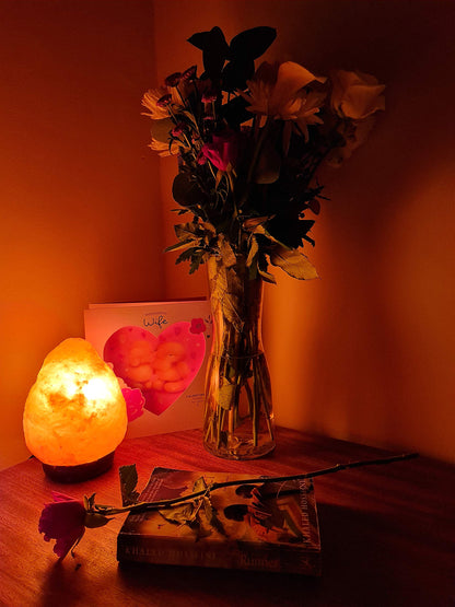 Himalayan Dimmable, Natural Himalayan Crystal Rock Salt Lamp Pink Light, Hand Crafted Wooden Base Direct from Foothills of The Himalayas Home Decor, Night Light & Gifts