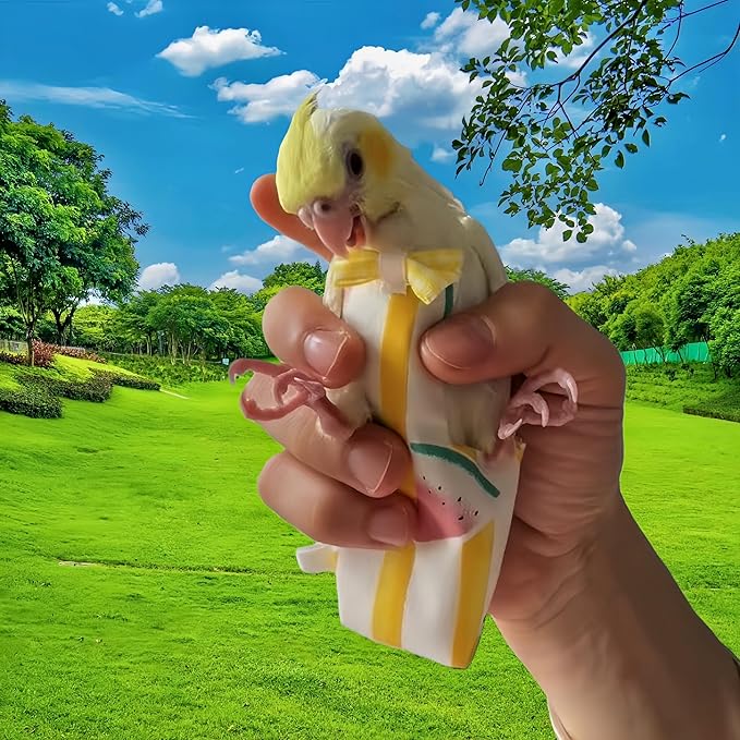 2Pcs Bird Diapers Bird Harness Flight Suits Diapers with 80 Inch Flying Leash Parrot Nappy Washable Cute Urine Wet Suit for Cockatiel Conure Macaw Budgies Parakeet-Rabbit&Watermelon,M