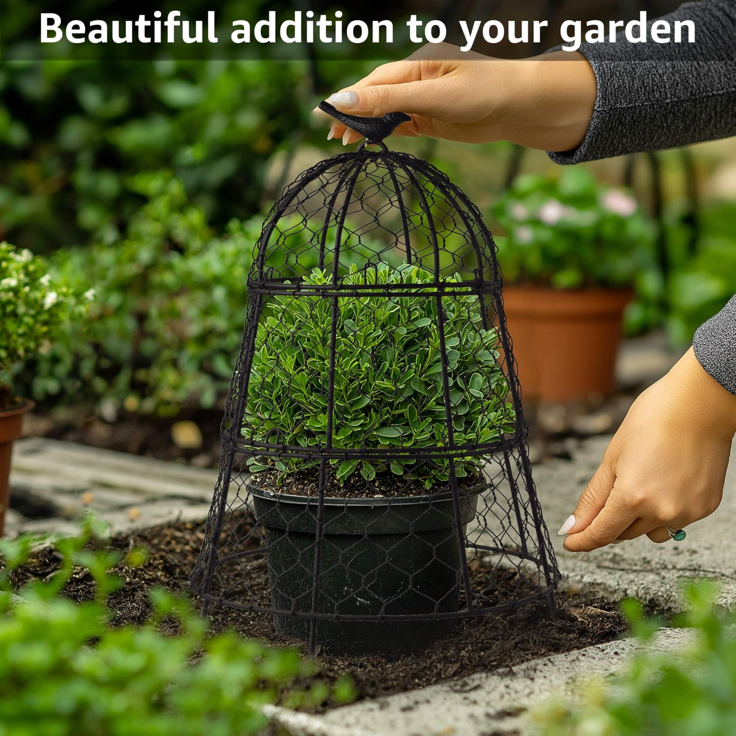DHAMPOOH Pack of 6 Heavy-Duty Chicken Wire Plant Cloches – Rustproof Garden Protectors and Plant Cages for Vegetables and Flowers – Safeguard Plants from Deer and Critters – 20” x 12”