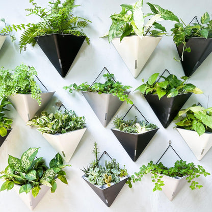 LaLaGreen Wall Planters for Indoor Plants - 2 Pack, 12 Inch Large Self Watering Black Geometric Hanging Flower Vase Vessel with Metal Hanger, Modern Stylish Wall Mounted Succulent Pot Holder Decor