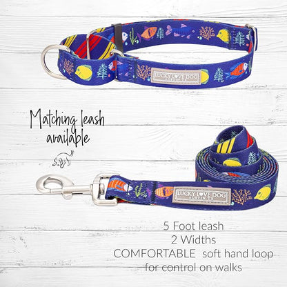 Lucky Love Dog Tropical Fish Pattern Martingale Collar and Leash Set, Blue Color No Slip Collars for Small Dogs, Great for Whippets, Greyhounds, and More (Mackey, Small - Combo)