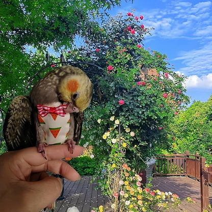 5 Pcs Bird Diapers Bird Harness Flight Suits Diapers Reusable Parrot Nappy with Waterproof Inner Layer Washable Cute Urine Wet Suit for Cockatiel Budgie Conure Macaw Parakeet Lovebird,L