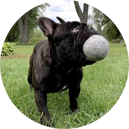 Wool Dog Toy Balls – Organic Eco Friendly Dog Ball Toy – Natural Non Toxic Dog Toy for Fetch – Durable Wool Ball for Dogs – 2 Pack - Safe for Your Pet & The Planet