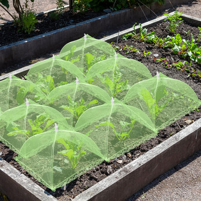NODMIPNS 4 Sets Strawberry Plant Support with Mesh Cover - Square Gardening Frame, Animal Barrier, Iron Stakes & Storage Bag for Healthy Strawberries, Tomatoes, Veggies (Green) (4 pcs)