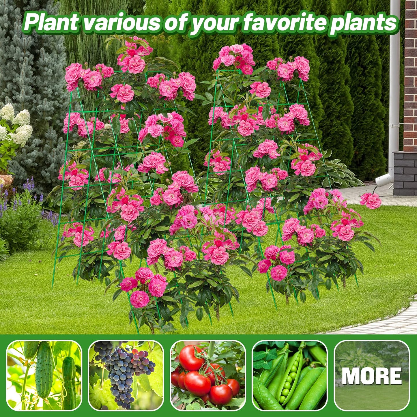 2Sets Stable Cucumber Trellis - 39.3" L x15.7'' W Foldable Garden Trellis for Raised Bed, A-Frame Metal Plant Support Trellis with Ties for Bean Raspberry Squash Climbing Plants Outdoor