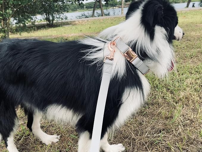 Dog Collar and Leash Set.Soft and Easy to Clean Vegan Leather with Rose Gold Metal Buckle for Small Medium Large Dogs (Grey, L(15.4”-24.8“)