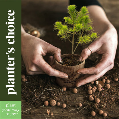 Planter's Choice Bonsai Tree Kit for Beginners & Plant Lovers - Grow Your Own Bonsai from Seed, 4 Species Starter Kit with Burlap Pots, Shears, Soil Disc, Markers & Guide, Gift for Mom or Grandma