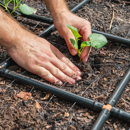 Garden Grid Watering System - 2x6 Cornerless | Raised Garden Bed Drip Irrigation System, But Better | Pre-Assembled, Waters Every Plant | Ideal for Beds w/Corner Posts or Curved Ends | 22.5"x66"