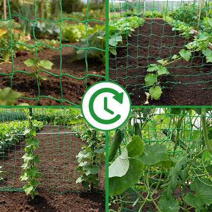 COZYDIG 6.6x16.4FT Trellis Netting for Climbing Plants,Trellis Netting with Plant Clips, Heavy-Duty PE Trellis Net for Cucumber, Tomato, Vegetables, Fruits, Sweet Pea Plants