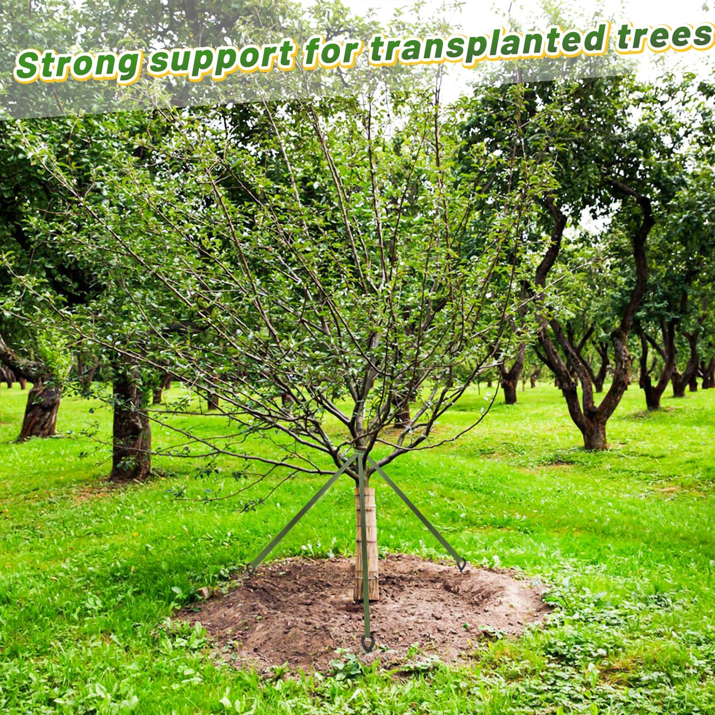 Biubee 2,425 Lbs Strength Tree Straps - 108FT Tree Tie Support Straps for Staking, Green Blend in with Landscaping for Guying Young Trees Straight and Storm Protection, for Outdoor Plants, 1" Wide
