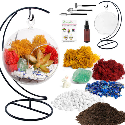 Creations by Nathalie DIY 5" DIY Globe Terrarium Kit - Build Your Own Glass Terrarium for Adults & Teens with Moss, Crystals, Tools & Decorative Figurine - Mini Ecosystem (Plant Not Included)