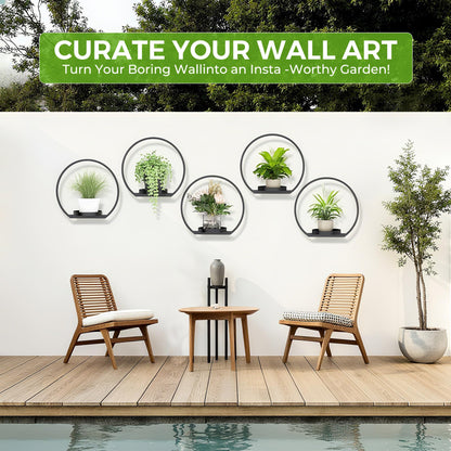 DEMEGA Wall Planters for Indoor Plants,Plant Frames Wall Decor Living Room Plant Stand Hanging Wall Plants Holder to Hold Large Pots Wall Plant Hanger Window Plant Shelves for Outdoor Entryway