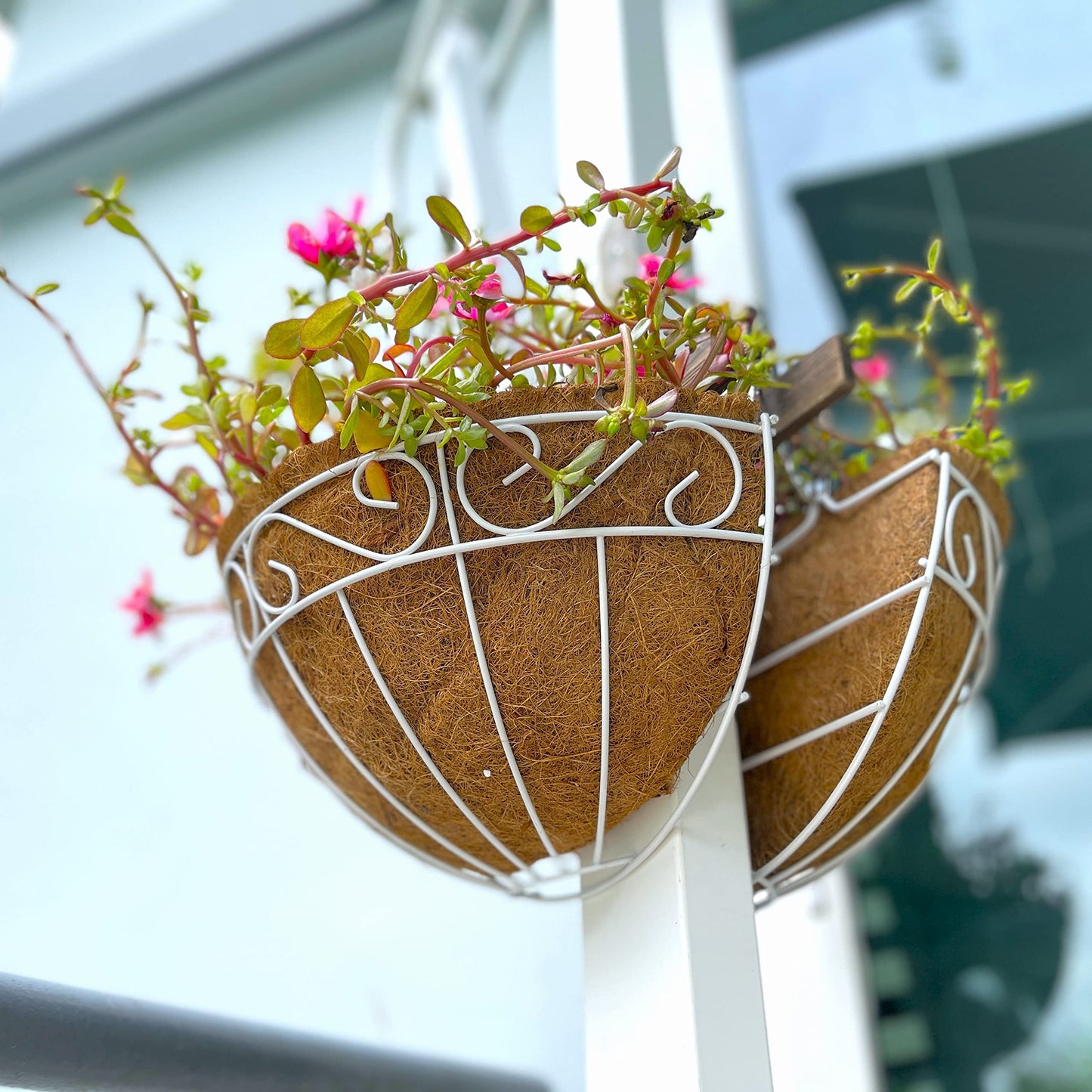 LaLaGreen Wall Mounted Flower Baskets (2 Pack, 16 Inch) Extra Large Deck Rail Hanging Planters with Coco Liner for Outdoor Plants White Metal Wire Herb Pots Holder Fence Railing Porch Patio Garden