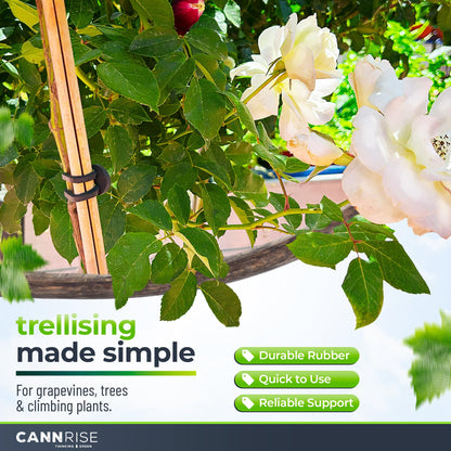 Anchor Bands for Trellising - 33-Pack 12 cm/4.72 in Rubber Vine Ties, UV-Protected Bands: Grapevines, Trees & Climbing Plants – Tool-Free Loop-and-Anchor Design for Install, Weatherproof