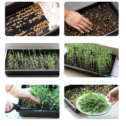 Mr. Pen- Seed Starter Trays, 5 Pack, 17"x10"x2.4", Durable Plastic Growing Trays, Stackable and Reusable Seedling Starter Kits for Indoor, Outdoor, Greenhouse Gardening, Planting, Hydroponic Systems