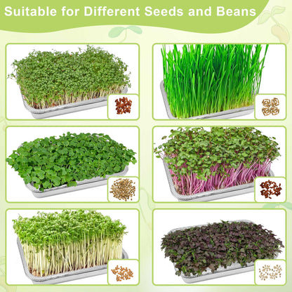 TCYPUHL Stainless Steel Sprouts Growing Kit 2-Tier 10.4 inch Trays, Microgreens Growing Kit, Seed Sprouting Tray with Encrypted Mesh Sprouts for Beans Alfalfa Broccoli Wheat Grass