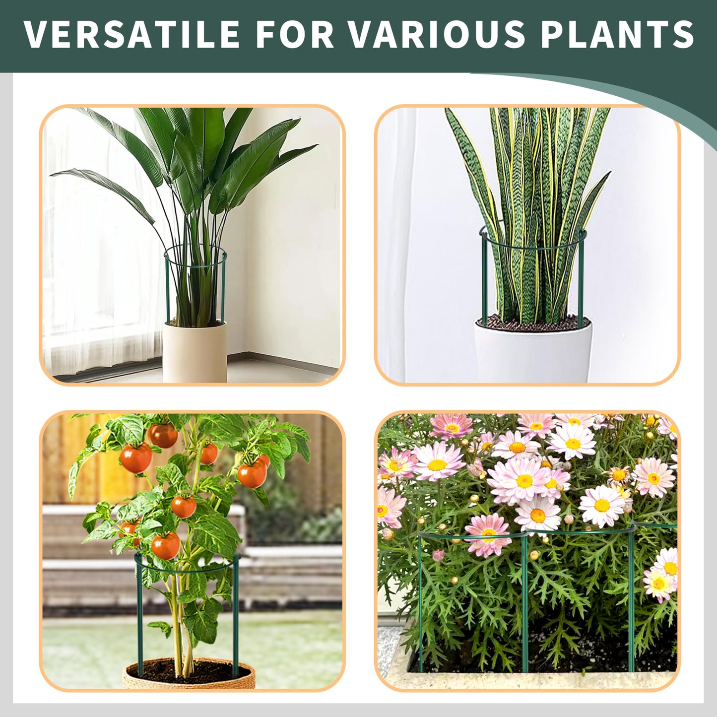TCBWFY 24"Hx10"D Plant Supports Stakes for Large Heavy Plants,20 Pack Peony Supports,Heavy Duty 4.5mm Wire Peony Cages,Interlock Garden Supports Ring Border Support,Plant Support Cage for Rose Flowers