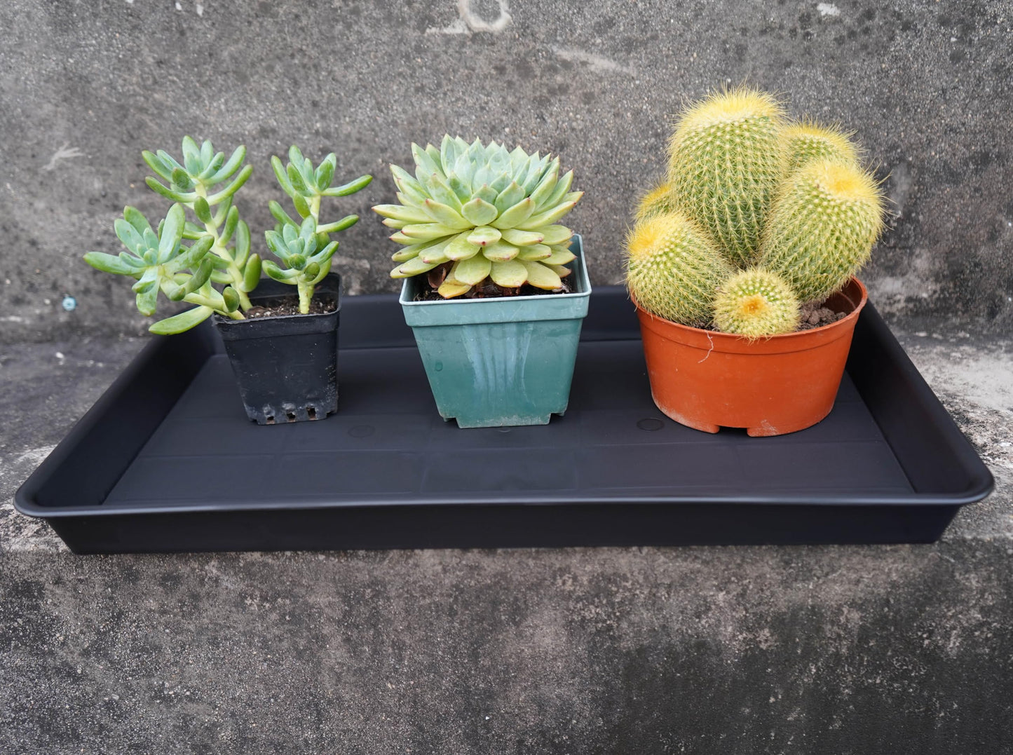 VUWEZ Plant Saucer Growing Tray, Seed Starter Tray Rectangular, Heavy Sturdy Plastic Plant Drainage Saucers, Plant Drip Trays for Pots, Seed Starter Growing Trays (11 x 9 inch, 2 Pack)