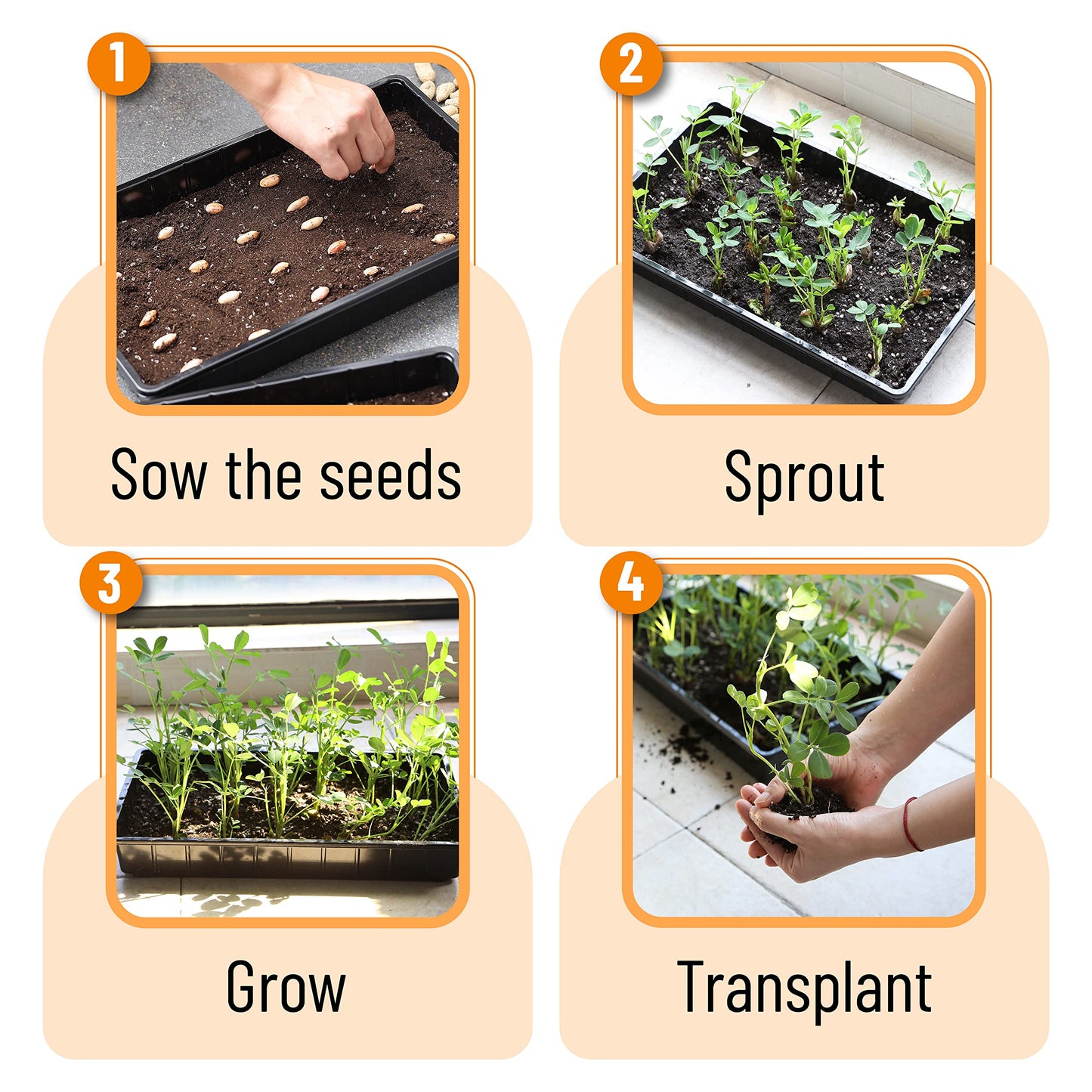 Mr. Pen- Seed Starter Trays, 5 Pack, 17"x10"x2.4", Durable Plastic Growing Trays, Stackable and Reusable Seedling Starter Kits for Indoor, Outdoor, Greenhouse Gardening, Planting, Hydroponic Systems
