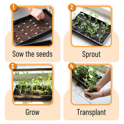 Mr. Pen- Seed Starter Trays, 5 Pack, 17"x10"x2.4", Durable Plastic Growing Trays, Stackable and Reusable Seedling Starter Kits for Indoor, Outdoor, Greenhouse Gardening, Planting, Hydroponic Systems