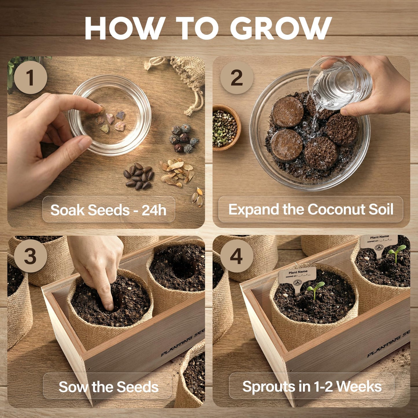 AVERGO Bonsai Tree Kit Classic - 5X Unique Japanese Bonzai Trees | Complete Indoor Bonsai Starter Kits for Growing Trees – DIY Gardening Gifts for Mother, Women & Men