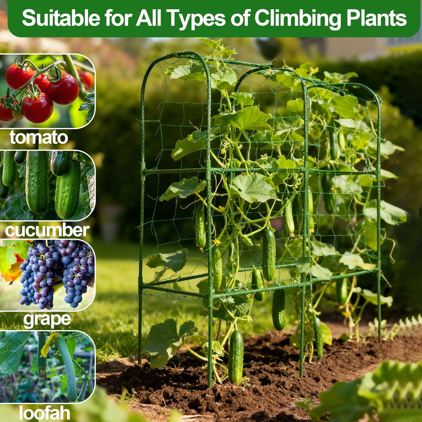 Garden Cucumber Trellis for Climbing Plants, Outdoor Metal Garden Arch Trellis, Plant Support for Vegetables Tomato Trellis Raised Garden Bed (Green, 31.5" Lx21.6 Wx47.2 H-S)