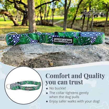 Lucky Love Dog Martingale Collar, Premium No Slip Martingale Collar for Large Boy Dogs, Great for Whippets, Greyhounds, and More (Large, Blue Laguna)