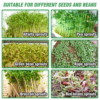 Aulock Stainless Steel Seed Sprouting Kit - 3-Tier Microgreens Growing Tray 7.9 in Dia, Stackable Round Sprouter Maker with Encrypted Mesh, Sprouts Grower for Beans Broccoli Alfalfa Seeds Wheat Grass