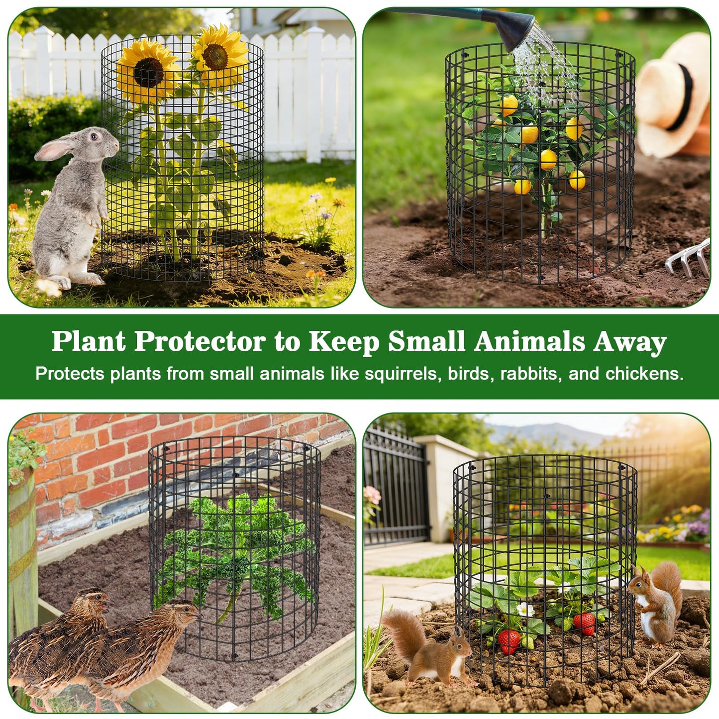 Aifanss Plant Protectors from Animals, 15pcs 12x12 Inch Metal Plant Cages for Garden Vegetables Protectors to Keep Chicken Bunny Squirrel Out, Wire Chicken Wire Cloche with Zip Ties and Stakes