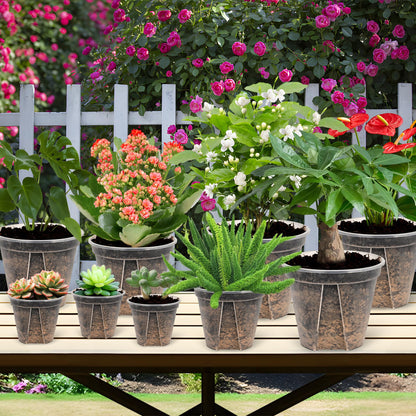 AUGXIXI 5 Sets 8 Inch Transparent Plastic Garden Pots Planter with Saucer Plant Planter Drainage Hole Plastic Pots for Plants Indoor and Out Door House Plants with 10pcs Plant Labels