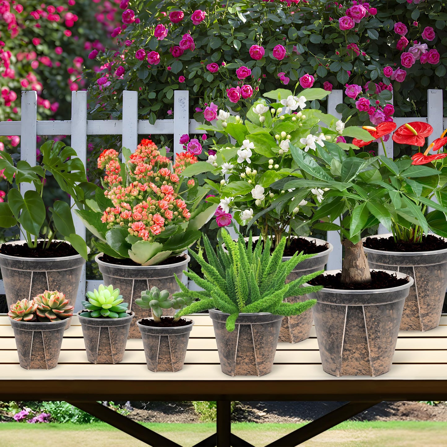 AUGXIXI 10 Sets Transparent Plastic Garden Pots Planter with Saucer 3.9/4.7/5.5/5.9/6.3 inch Plant Pot Nursery Pots Drainage Hole for House Plants, Herb, Flowers, and Cactus with 20pcs Plant Labels