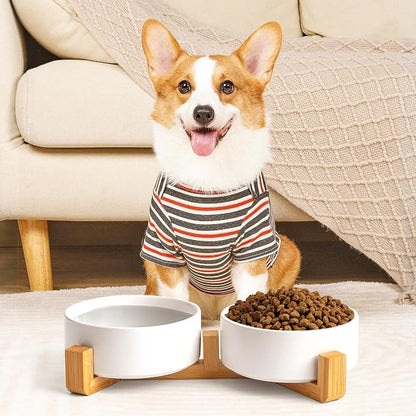 Mowtanco White Ceramic Dog & Cat Bowl Set – 13.5 OZ with Wooden Stand, Non-Slip, Elevated Design for Small Dogs & Cats – 2 Bowls (Food & Water, Ceramic Pet Bowls, Modern Dog Bowls)