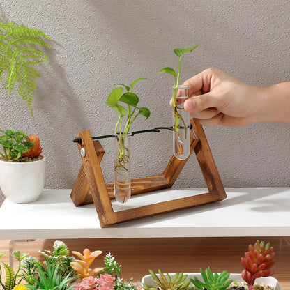 LIFKOME 5pcs Glass Test Tube Plant Vases 2.5x3x11cm Hydroponic Flower Tubes Propagation Station for Indoor Terrarium Gardening