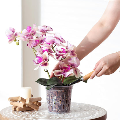 TRUEDAYS Orchid Pot – 4 Pack 5 Inch Clear Orchid Pots with Drainage Holes for Repotting – Ideal for Healthy Root Growth – Sturdy Plastic Plant Pot for Indoor & Outdoor Plants