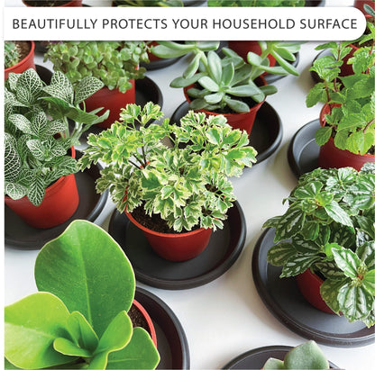 LOOPSEED Plant Saucer 6 Pack Drip Trays Planter Pot Base Heavy Duty Plastic Drainage Tray for Indoor Houseplants Outdoor Garden 5 inch 8 inch 11 inch 3 Sizes 2 Each Round (Brownish Black)