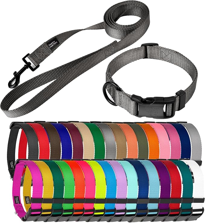 Country Brook Petz - Everyday Nylon Dog Collar and Leash - 10+ Cool Colors (3/4 Inch, Medium, Charcoal)