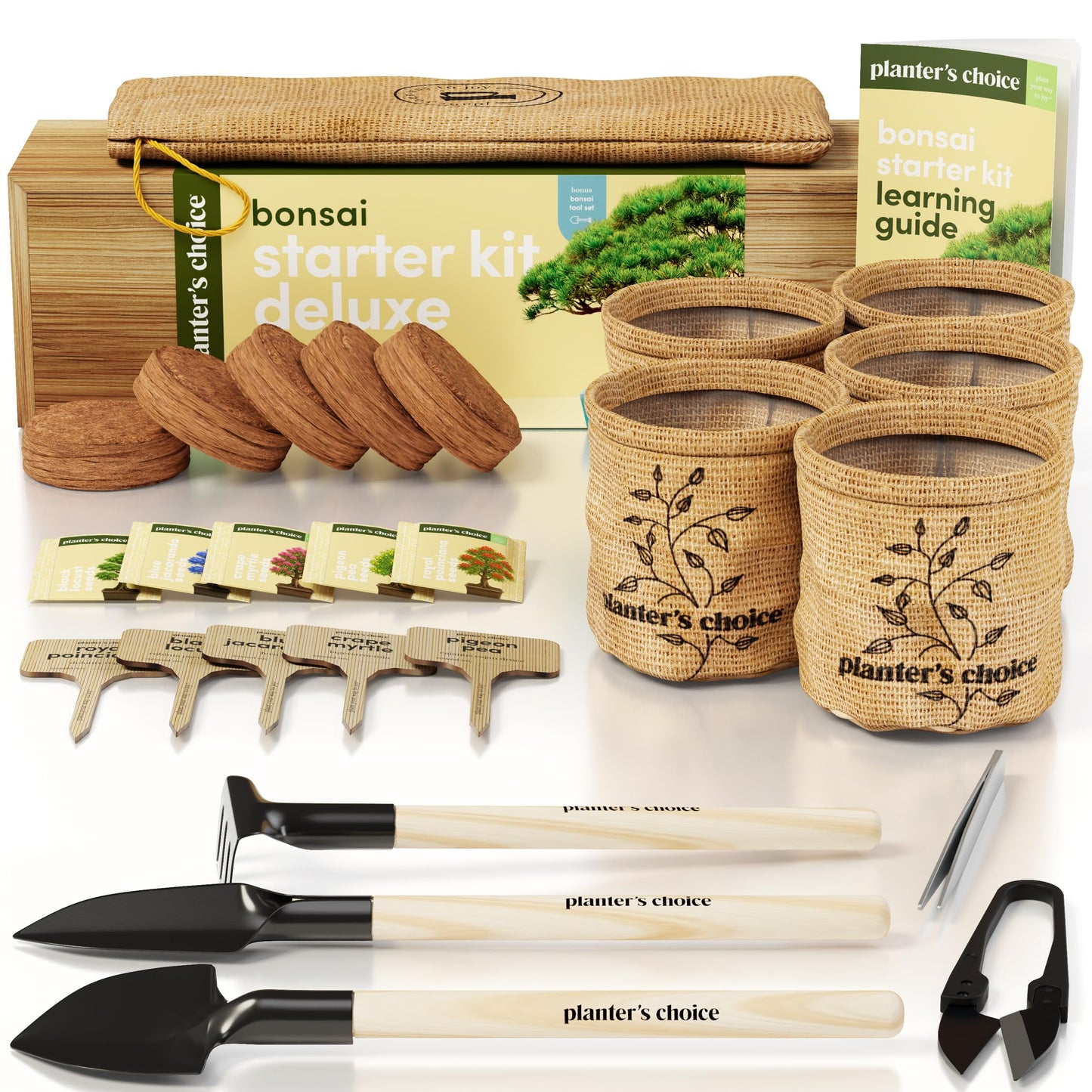 Planter's Choice Bonsai Tree Starter Kit - Birthday Gifts for Women, Men, Adults - Indoor Live House Plants - DIY Adults Craft Kits - Unique Hobby Gift Gardening Lovers - Gift Ideas Mom, Her, Friend