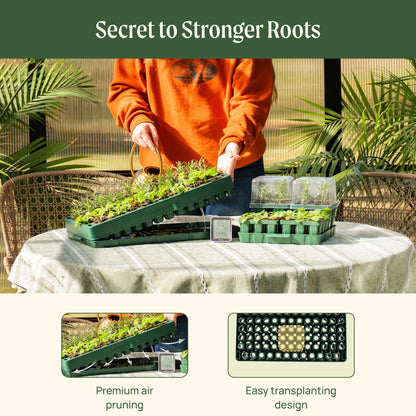 Vego garden 2 Set 76 Cells Seed Starter 10" x 20" Tray Stackable Seedling Starting Germination Trays for Plants Planting Vegetables Herbs Flowers,