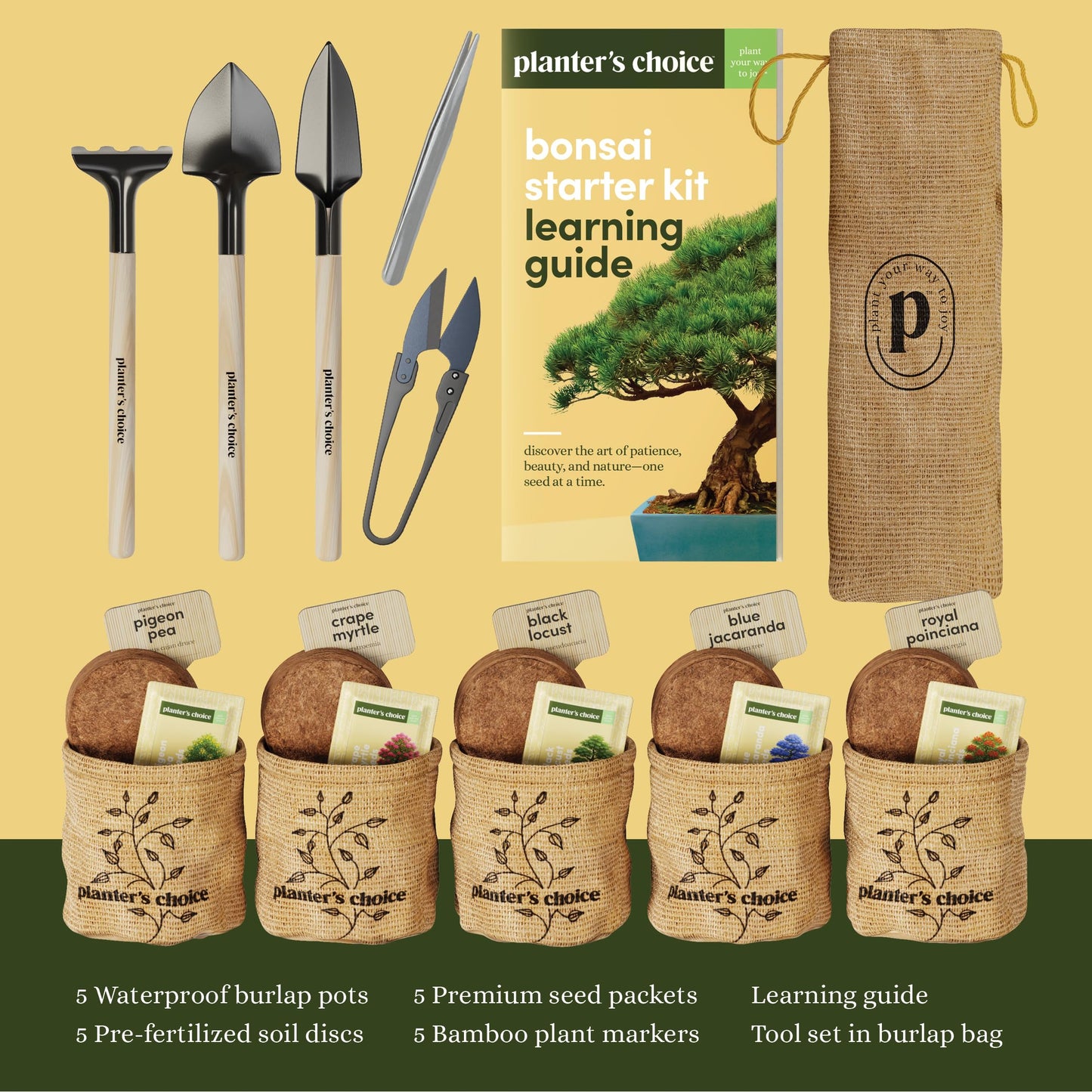 Planter's Choice Bonsai Tree Starter Kit - Birthday Gifts for Women, Men, Adults - Indoor Live House Plants - DIY Adults Craft Kits - Unique Hobby Gift Gardening Lovers - Gift Ideas Mom, Her, Friend