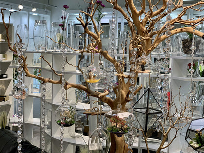 WGVI WGV Hanging Terrarium Globe, Width 7", Height 8", DIY Air Succulent Planter, Clear Glass Vase Orb with Flat Bottom, Candle Holder for Windowsill Outdoor Garden Decor, 1 Piece