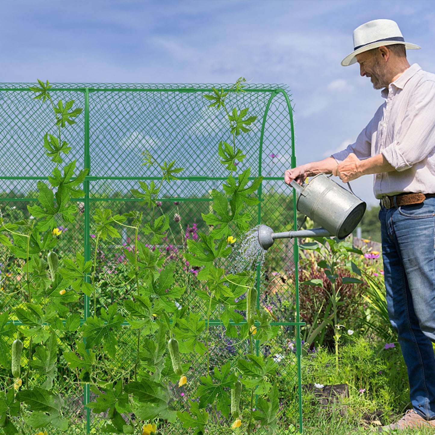 codree Cucumber Trellis for Raised Bed, 63 x 63 Inch U-Shape Garden Trellis for Climbing Plants Outdoor, Metal Arch Trellis with Climbing Net Clips for Growing Vine Vegetable, Tomato, Bean, Zucchini