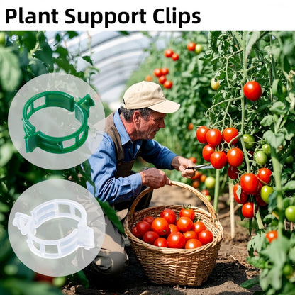 CIQIYO® 100 Pcs Plant Support Clips,Plastic Clips for Securing Plants,Tomato Vine Clips,Plant Fixing Clips,Garden Clips for Climbing Plants,Grape and Vine Vegetables (100, Green)