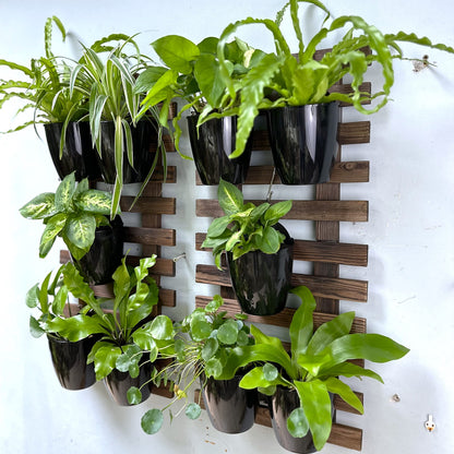ShopLaLa Bundle- 5 Pack Set Wooden Hanging Plant Holder + 10 Pack, 4 Inch Black Self Watering Plastic Pots Large Wall Mount Vertical Hydroponic Live Garden Rustic Farmhouse Huge Shelves Modern Decor