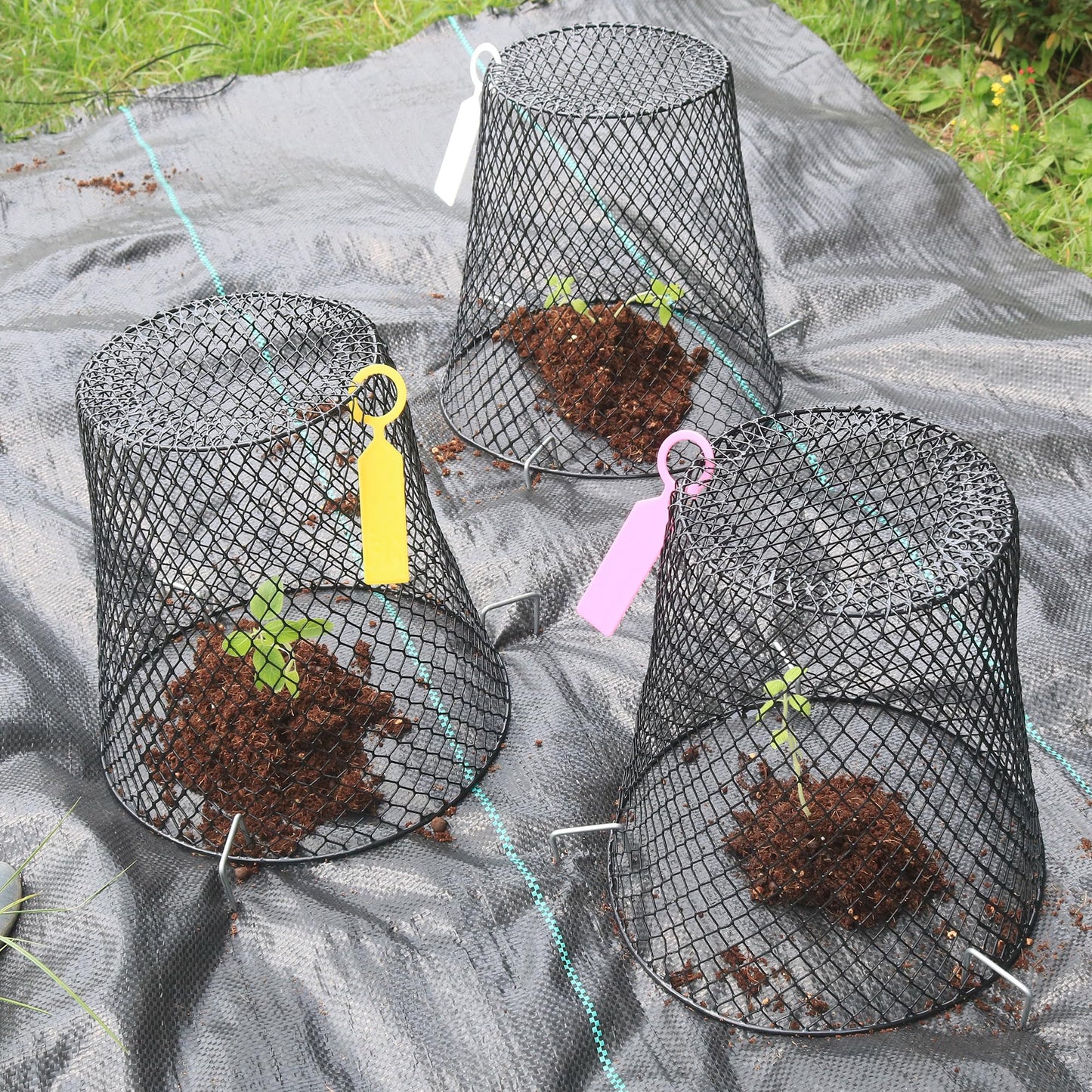 Anothera 10Pcs Chicken Wire Cloche Plant Covers, 9.2×9.2 Inches Plant Protectors from Animals, Metal Garden Plant Cages for Outdoor Plants, Keep Rabbits, Squirrels, Birds Out