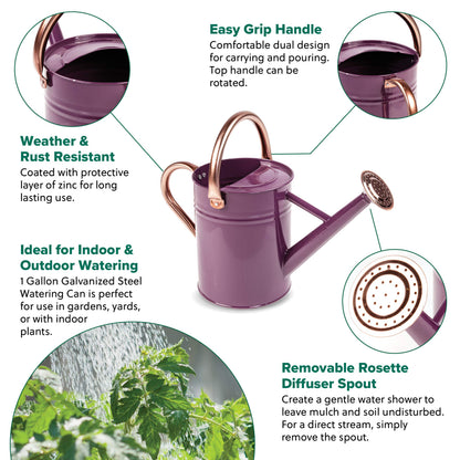 Gardman R34881 1 Gallon Watering Can, Deep Violet